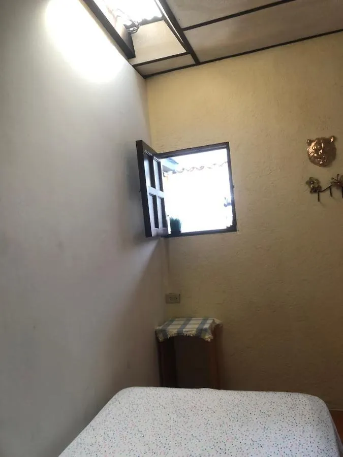 Jaguar En Antigua Hostal